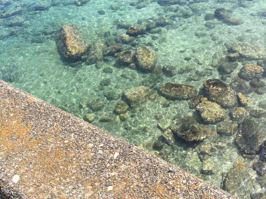 柏島の海の透明度