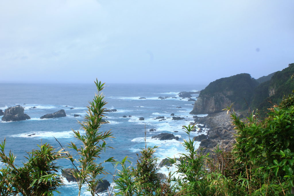 雨の日の足摺岬の風景