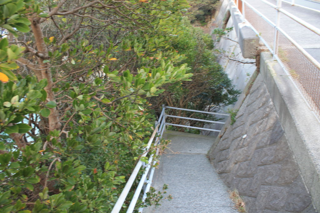柏島の白浜ビーチに続く階段