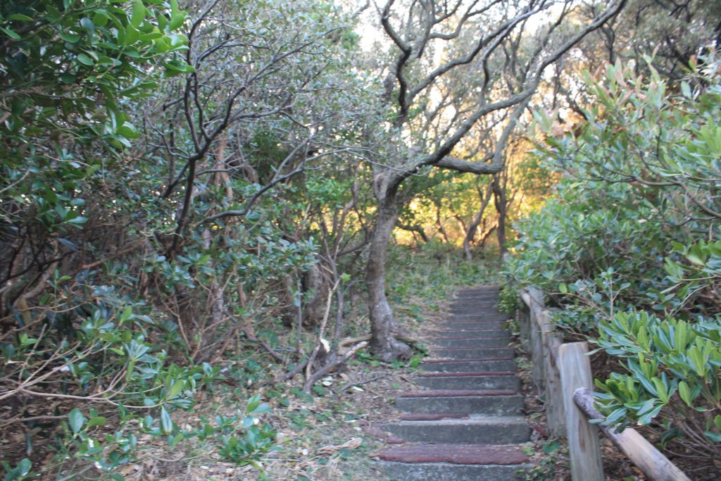 柏島の観音岩までの階段