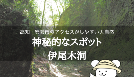伊尾木洞でもののけ姫のような世界を手軽に冒険！アクセスや観光ポイントを解説