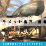 キラメッセ室戸の鯨館のアクセス・体験レポ―ト