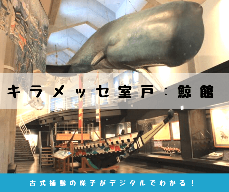 キラメッセ室戸の鯨館のアクセス・体験レポ―ト