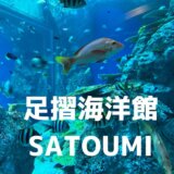 【足摺海洋館SATOUMI】雨の日もおすすめ！足摺の自然をリアルに再現した美しい水族館