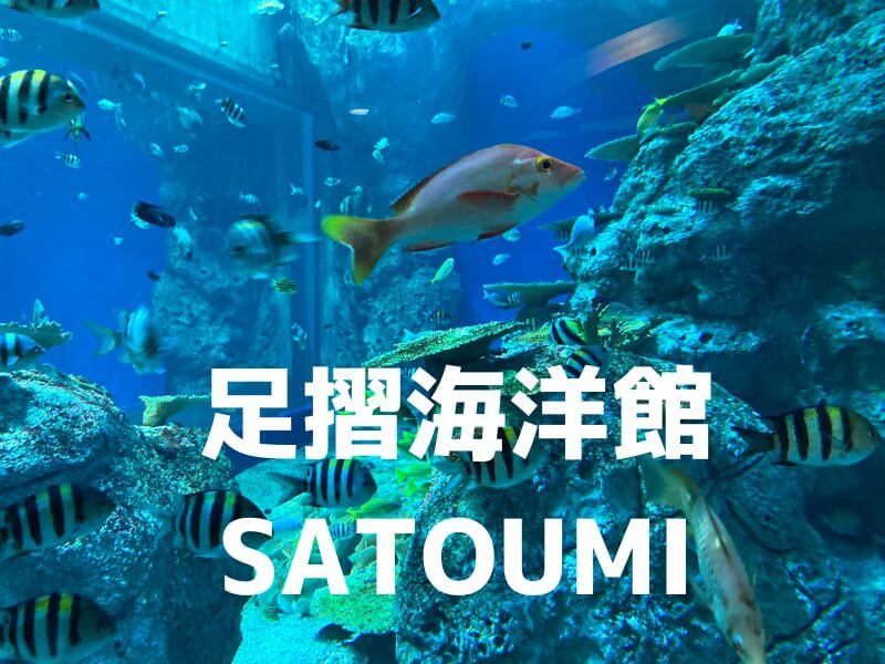 足摺海洋館SATOUMIの所要時間や駐車場、みどころ解説
