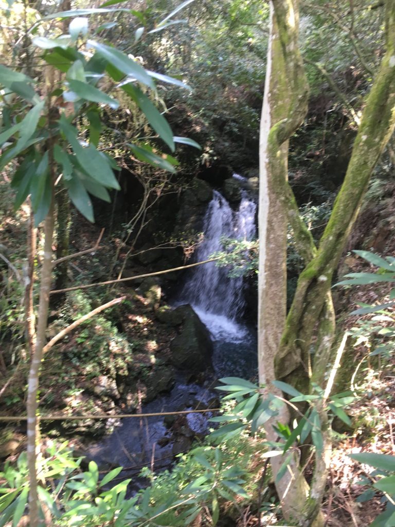 伊尾木洞の滝