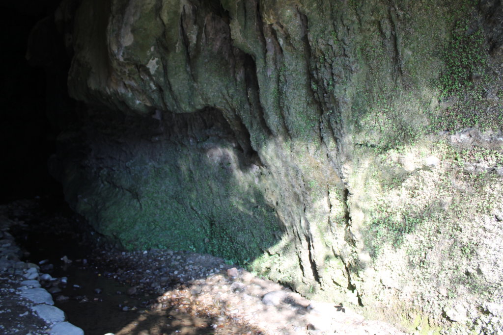 伊尾木洞の入口
