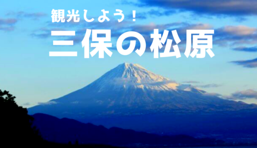 三保の松原で日の出を見てきたので、富士山が奇麗に見える時期や周辺の様子を綴ります。