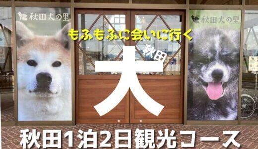 秋田観光のモデルコース1泊2日:車で回る秋田犬と出会う旅