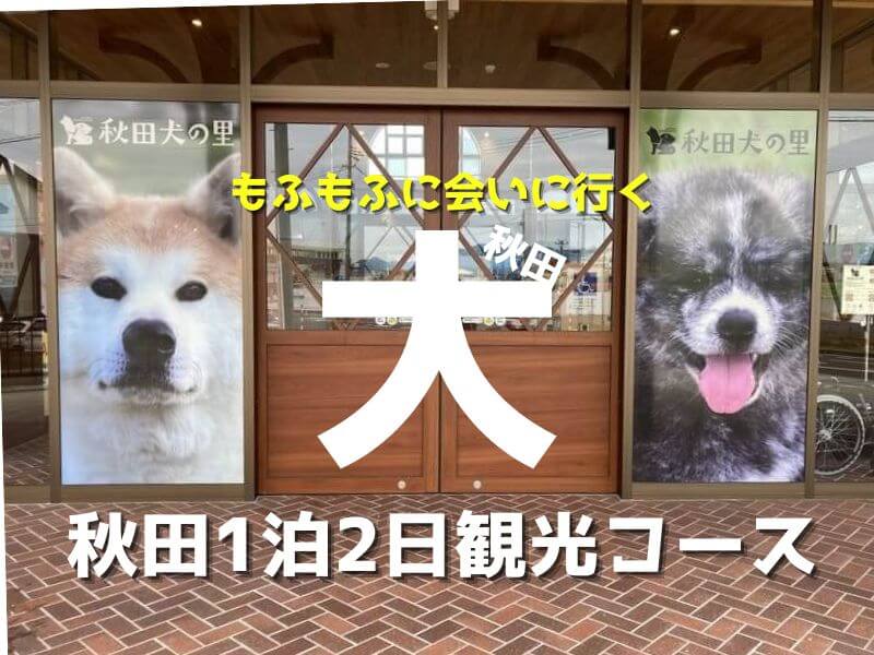 秋田観光モデルコース1泊2日秋田犬に会いに行こう！